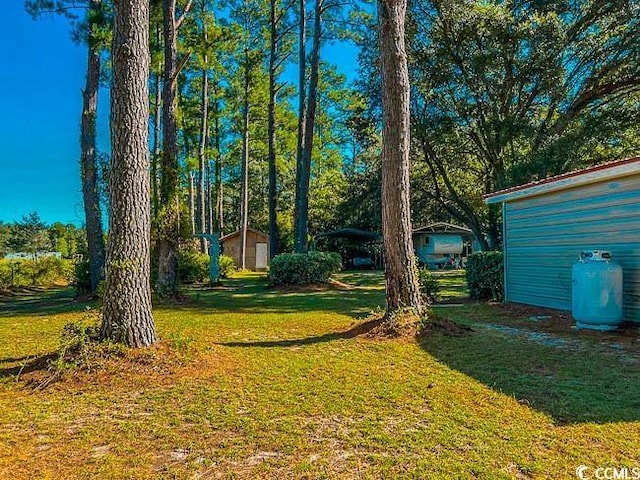 3641 Half Pint Rd, Longs, SC 29568 - view of grassy yard featuring an outdoor structure