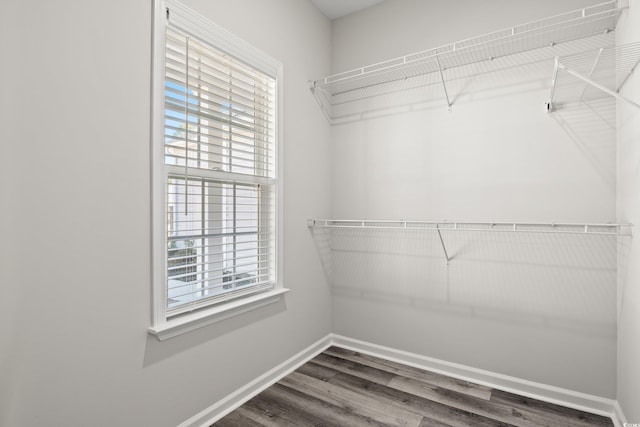 walk in closet featuring wood finished floors