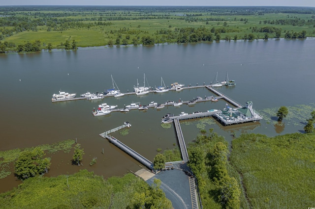 192 Berkshire Loop, Pawleys Island, SC 29585 - aerial view of property's location with a nearby body of water