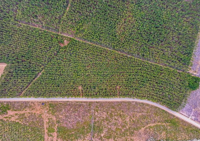 TBD Joyner Swamp Rd, Galivants Ferry, SC 29544