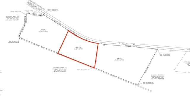 TBD Joyner Swamp Rd, Galivants Ferry, SC 29544