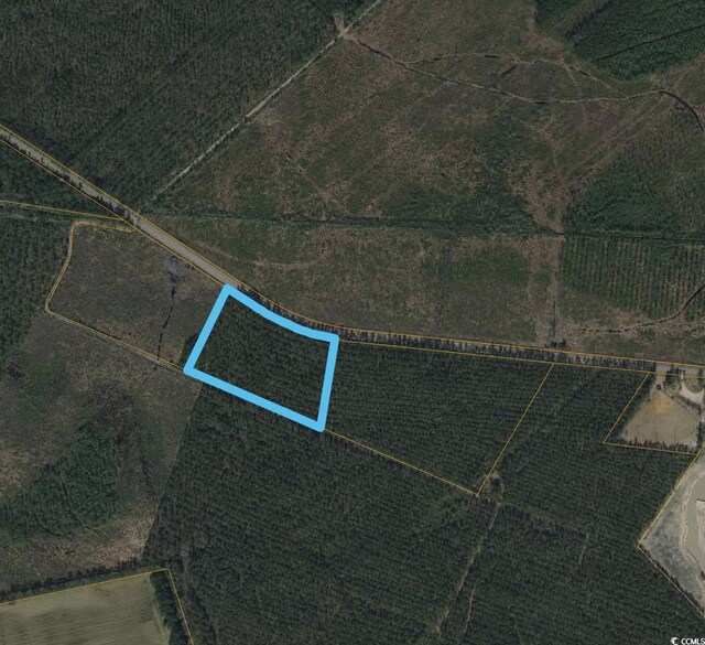 TBD Joyner Swamp Rd, Galivants Ferry, SC 29544