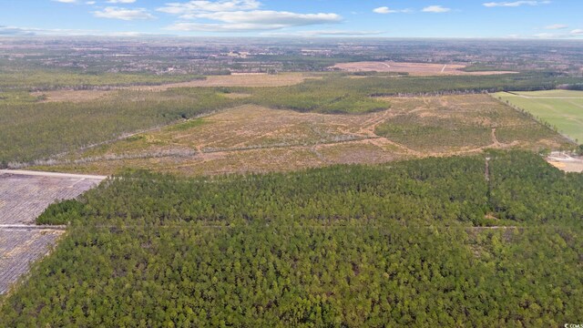 TBD Joyner Swamp Rd, Galivants Ferry, SC 29544