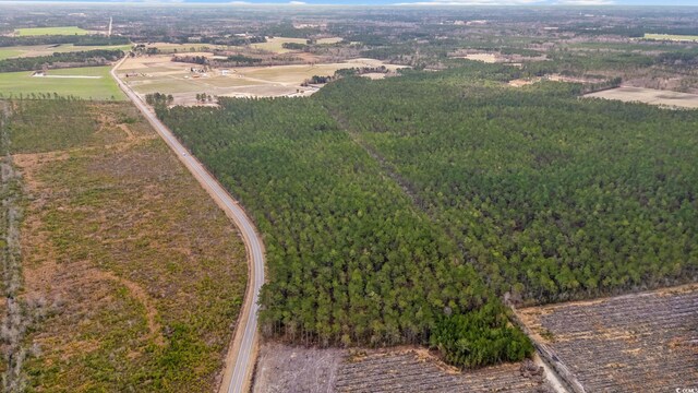 TBD Joyner Swamp Rd, Galivants Ferry, SC 29544