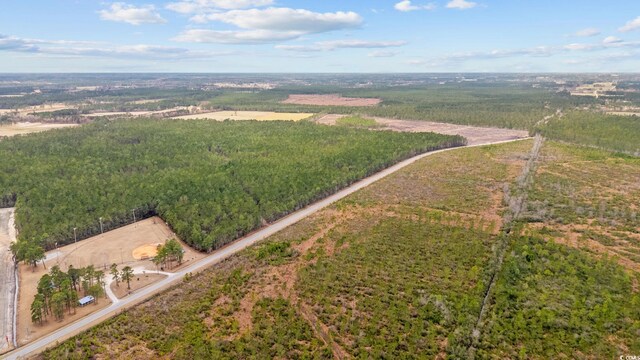 TBD Joyner Swamp Rd, Galivants Ferry, SC 29544