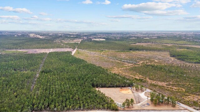 TBD Joyner Swamp Rd, Galivants Ferry, SC 29544