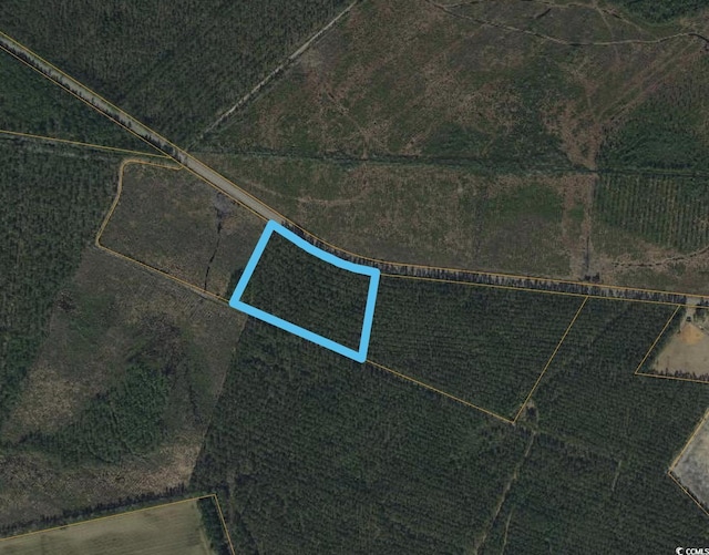 TBD Joyner Swamp Rd, Galivants Ferry, SC 29544