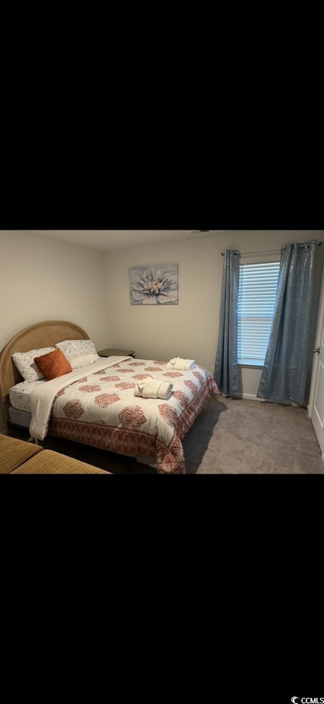 645 Black Pearl Way, Myrtle Beach, SC 29588 - view of carpeted bedroom