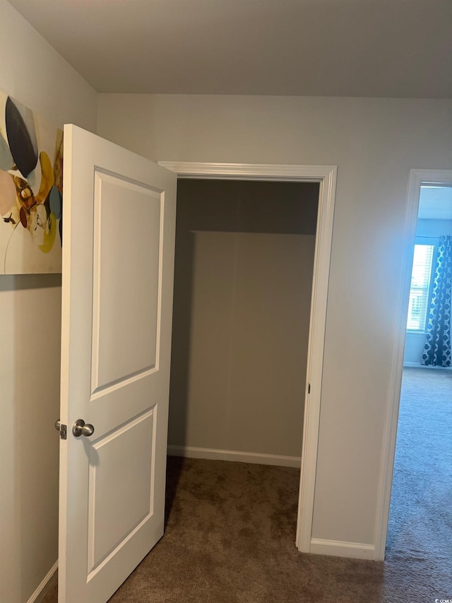 645 Black Pearl Way, Myrtle Beach, SC 29588 - view of closet