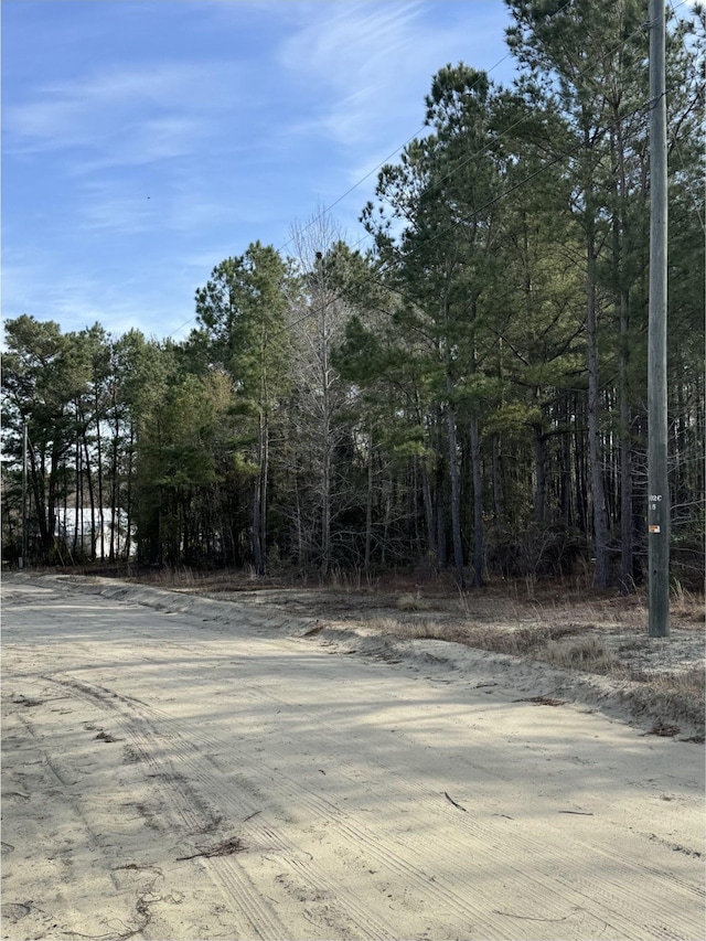 TBD Thompson Rd, Nichols, SC 29581