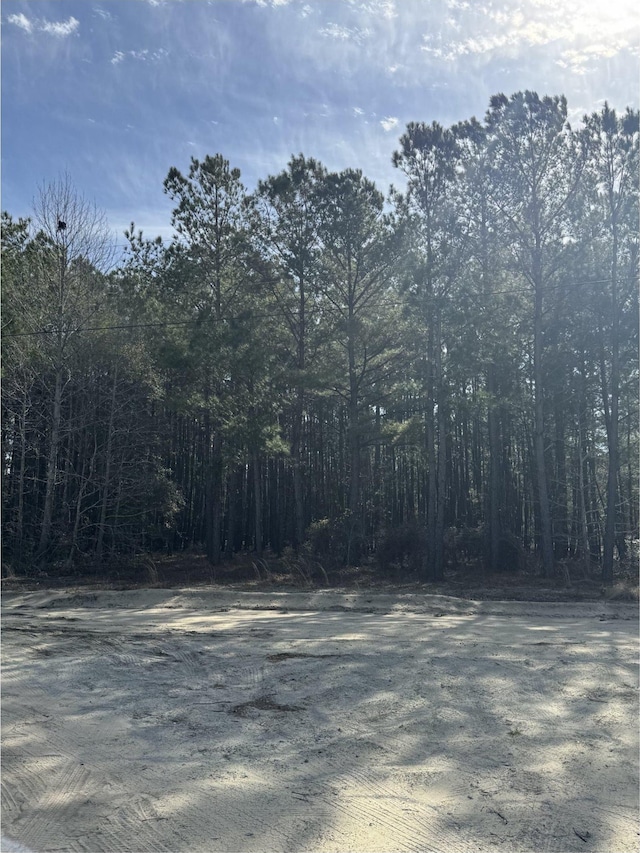TBD Thompson Rd, Nichols, SC 29581