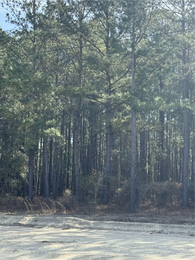 TBD Thompson Rd, Nichols, SC 29581