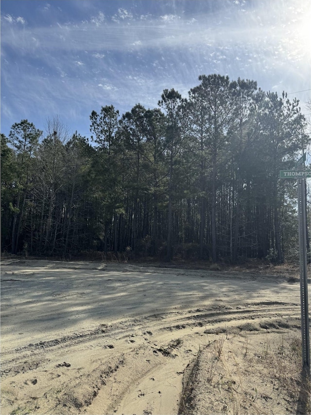 TBD Thompson Rd, Nichols, SC 29581
