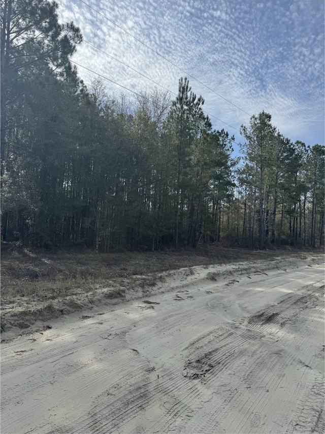 TBD Thompson Rd, Nichols, SC 29581