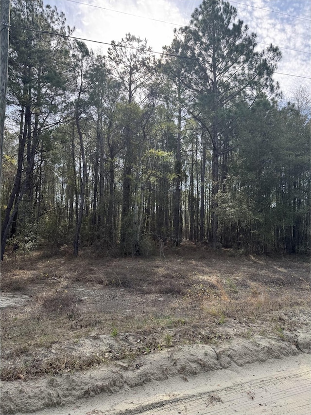 TBD Thompson Rd, Nichols, SC 29581