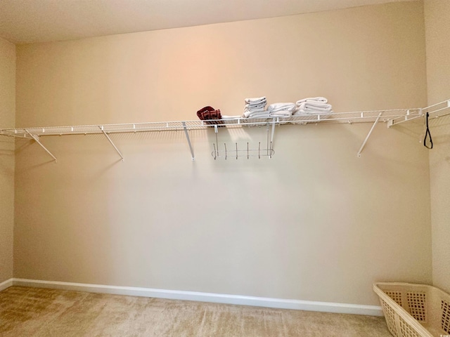 1612 Fairforest Ct, Conway, SC 29526 - walk in closet with light colored carpet