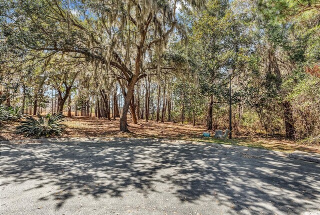 TBD Congressional Dr, Pawleys Island, SC 29585 - photo 1