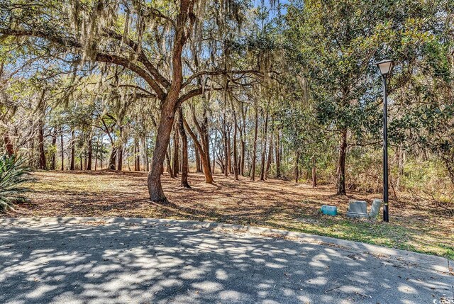 TBD Congressional Dr, Pawleys Island, SC 29585 - photo 2