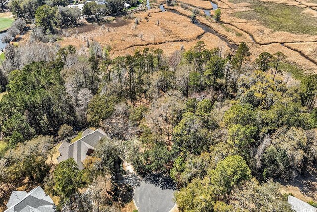 TBD Congressional Dr, Pawleys Island, SC 29585 - photo 3