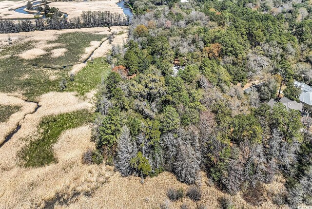 TBD Congressional Dr, Pawleys Island, SC 29585 - photo 12