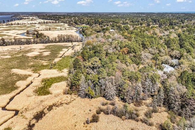 TBD Congressional Dr, Pawleys Island, SC 29585 - photo 13