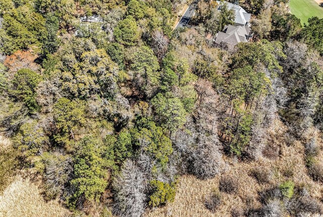 TBD Congressional Dr, Pawleys Island, SC 29585 - photo 16