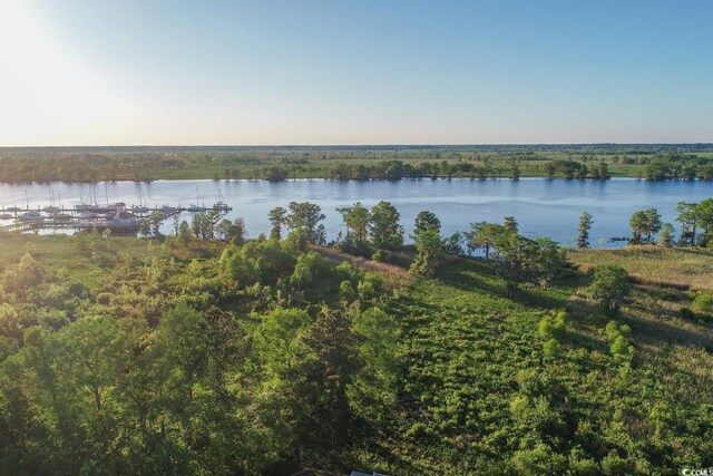 TBD Congressional Dr, Pawleys Island, SC 29585 - photo 21