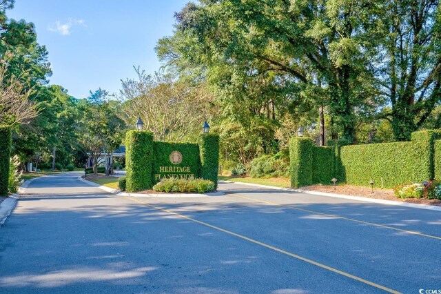 TBD Congressional Dr, Pawleys Island, SC 29585 - photo 24