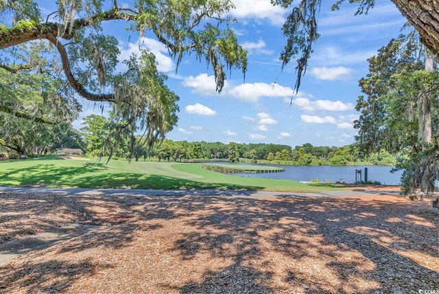 TBD Congressional Dr, Pawleys Island, SC 29585 - photo 26