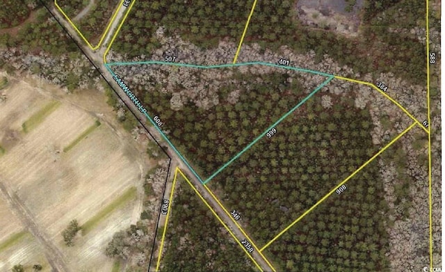 LOT9 Samworth Loop, Georgetown, SC 29440 - photo 1