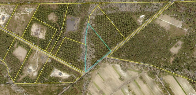 LOT9 Samworth Loop, Georgetown, SC 29440 - photo 2
