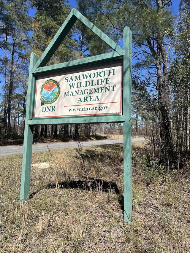 LOT9 Samworth Loop, Georgetown, SC 29440 - photo 4