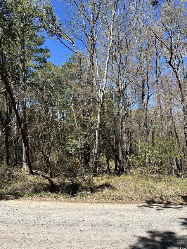 LOT9 Samworth Loop, Georgetown, SC 29440 - photo 6