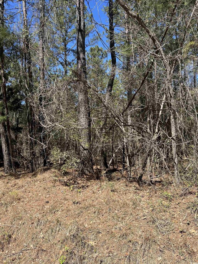 LOT9 Samworth Loop, Georgetown, SC 29440 - photo 10