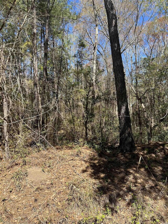 LOT9 Samworth Loop, Georgetown, SC 29440 - photo 11