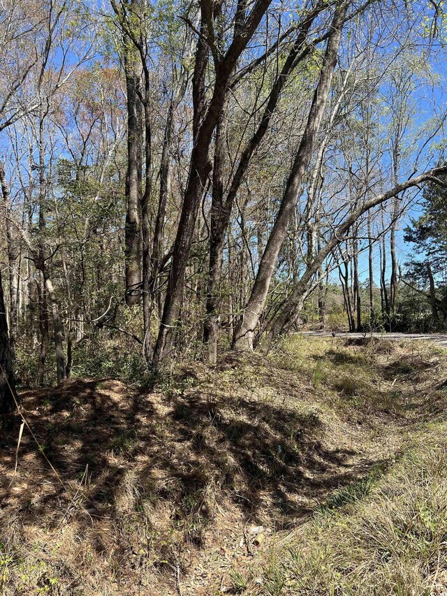 LOT9 Samworth Loop, Georgetown, SC 29440 - photo 12