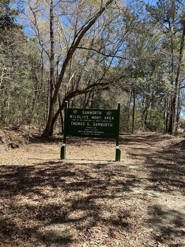 LOT9 Samworth Loop, Georgetown, SC 29440 - photo 14