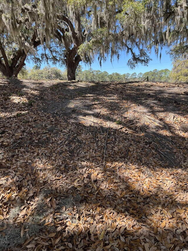 LOT9 Samworth Loop, Georgetown, SC 29440 - photo 21