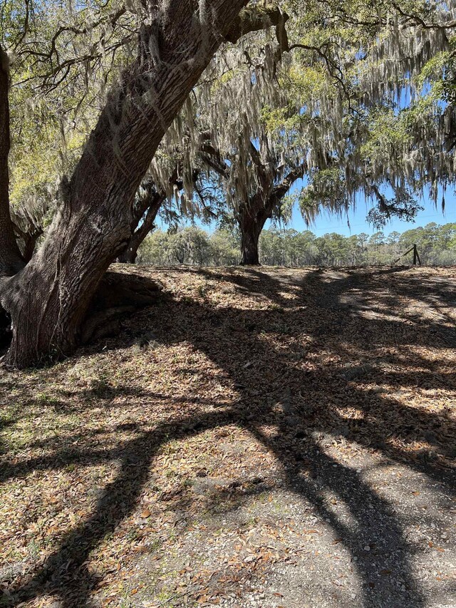 LOT9 Samworth Loop, Georgetown, SC 29440 - photo 22