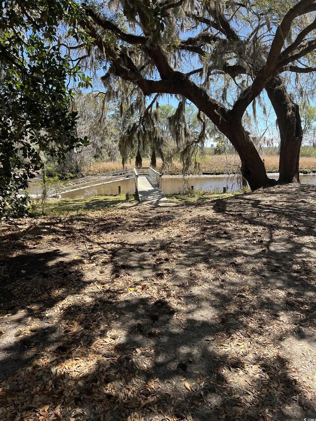LOT9 Samworth Loop, Georgetown, SC 29440 - photo 23