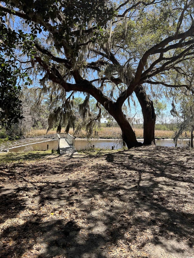 LOT9 Samworth Loop, Georgetown, SC 29440 - photo 24