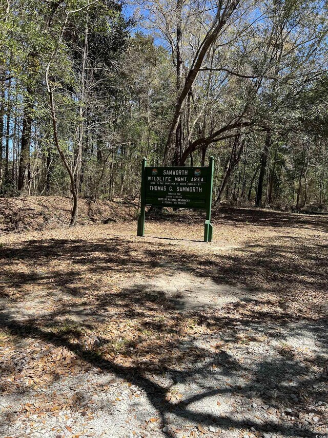LOT9 Samworth Loop, Georgetown, SC 29440 - photo 26