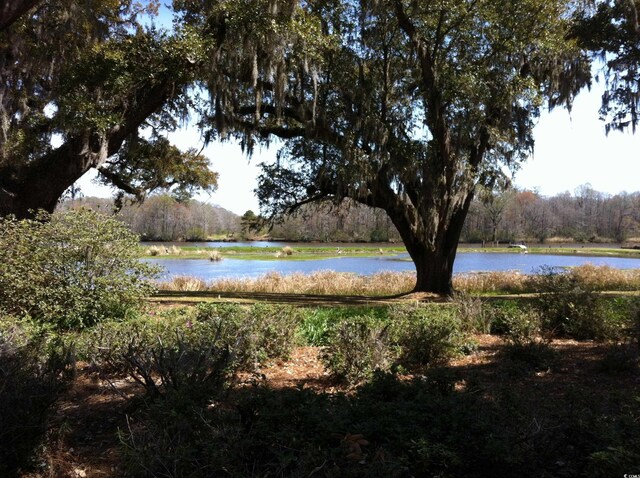 LOT9 Samworth Loop, Georgetown, SC 29440 - photo 29