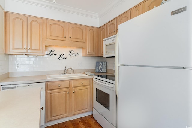 kitchen featuring crown molding, backsplash, a sink, wood finished floors, and white appliances