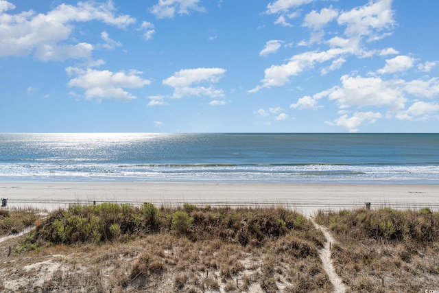 property view of water featuring a beach view