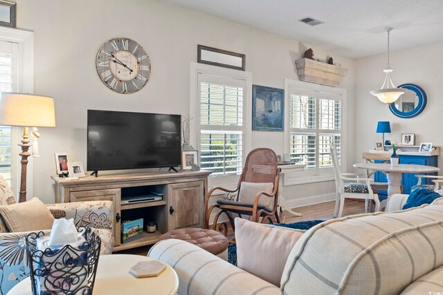 5050 Belleglen Ct Unit 102, Myrtle Beach, SC 29579 - living room with visible vents, wood finished floors, baseboards, and a healthy amount of sunlight