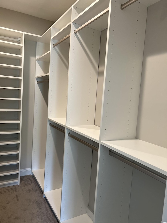 1109 Bonnet Dr, North Myrtle Beach, SC 29582 - walk in closet with dark colored carpet