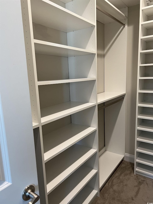 1109 Bonnet Dr, North Myrtle Beach, SC 29582 - walk in closet with dark carpet