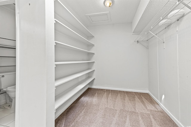 7300 Porcher Dr Unit 11, Myrtle Beach, SC 29572 - spacious closet featuring attic access and carpet flooring