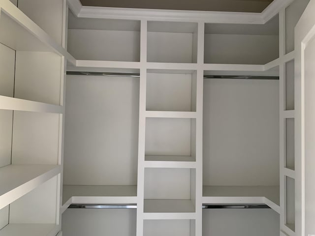 view of walk in closet